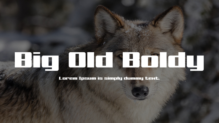 Big Old Boldy Font