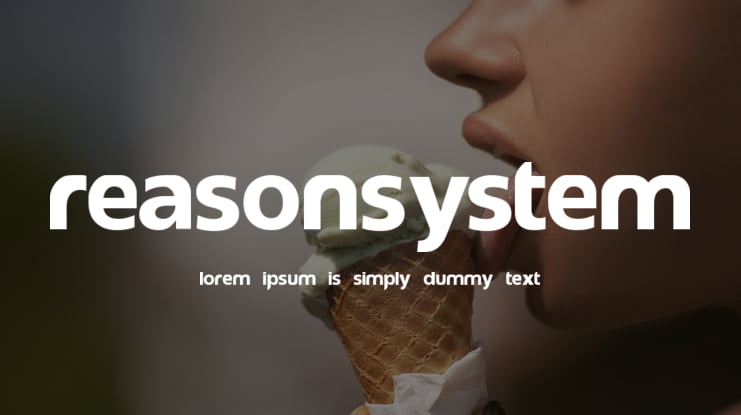 reasonSystem Font