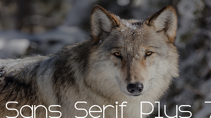 Sans Serif Plus 7 Font
