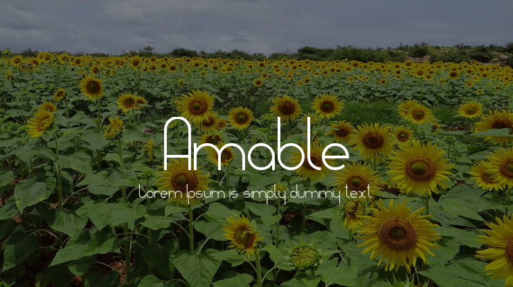 Amable Font