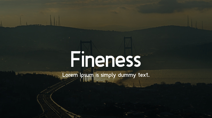 Fineness Font Family
