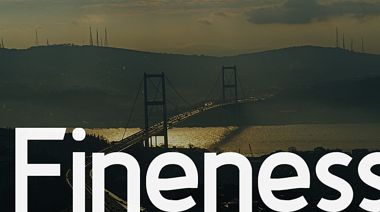 Fineness Font Family