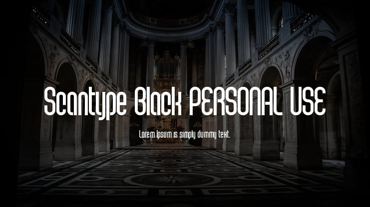 Scantype Black PERSONAL USE Font Family