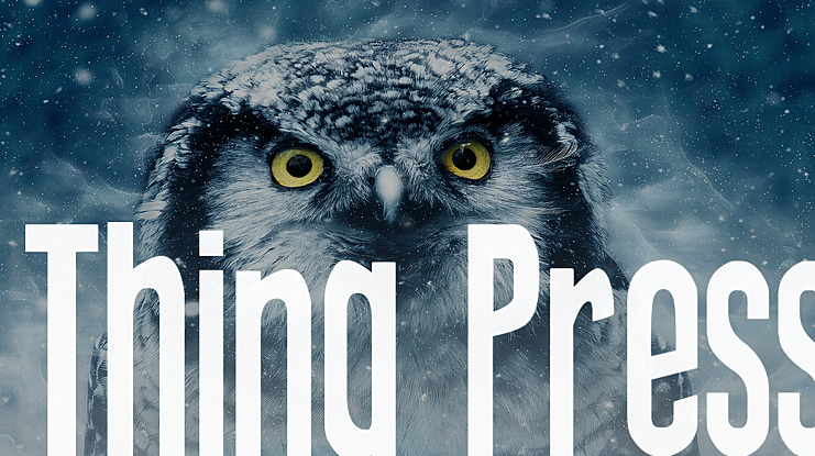 Thing Press Font