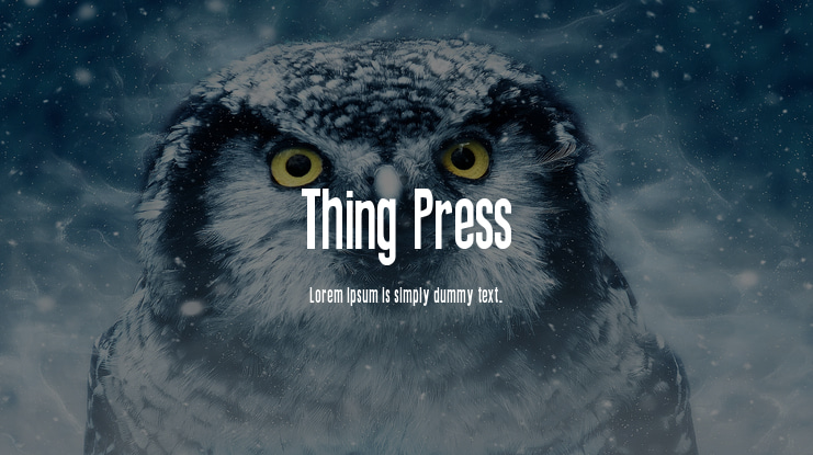 Thing Press Font