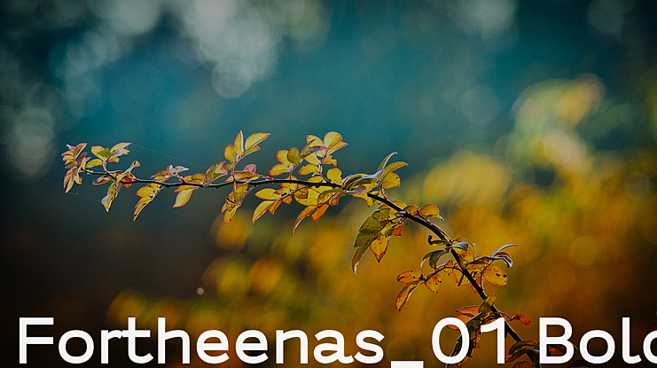 Fortheenas_01 Font Family