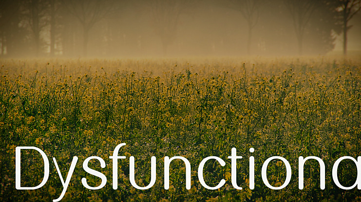 Dysfunctional Font