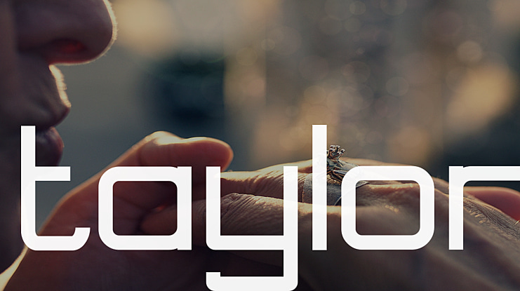 taylor Font Family