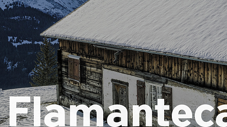 Flamante Seca Font Family