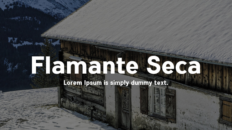 Flamante Seca Font Family