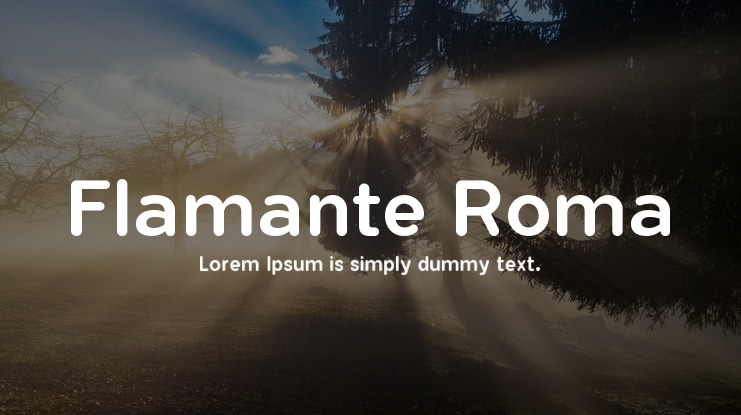 Flamante Roma Font Family