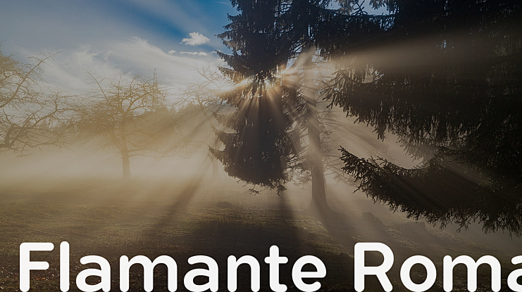 Flamante Roma Font Family