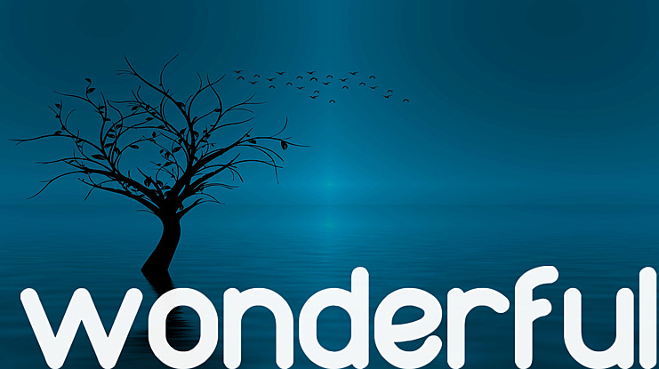 wonderfull Font