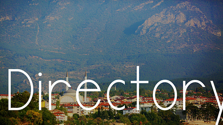 Directory Font