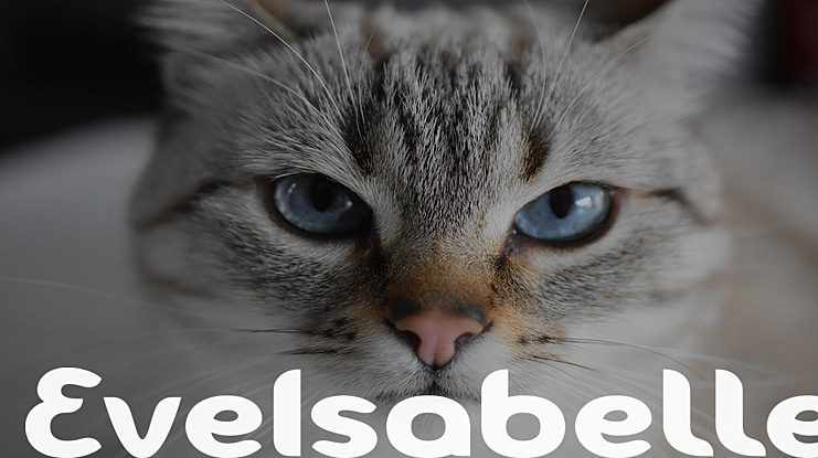 EveIsabelle Font