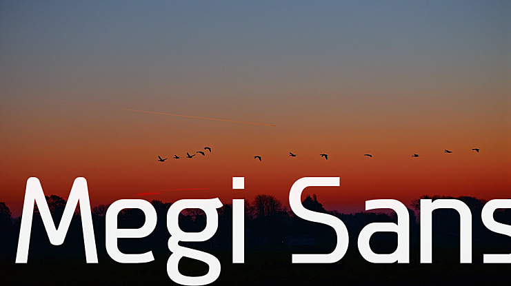 Megi Sans Font Family