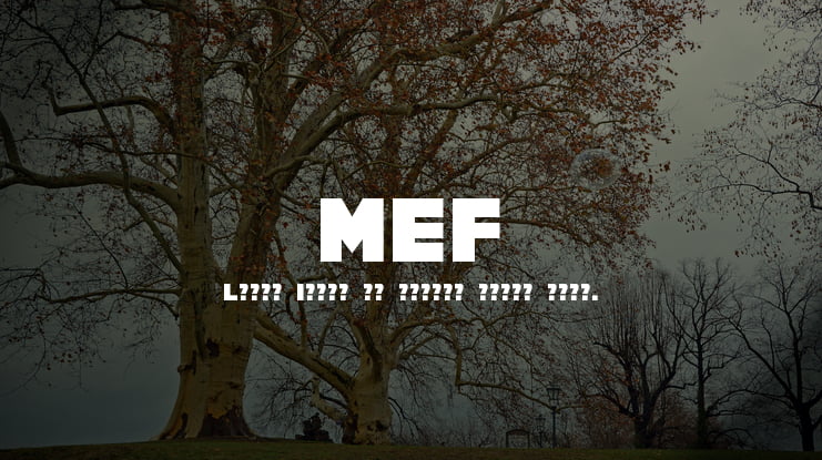 MEF Font