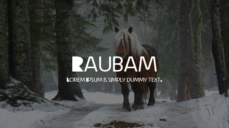 Raubam Font