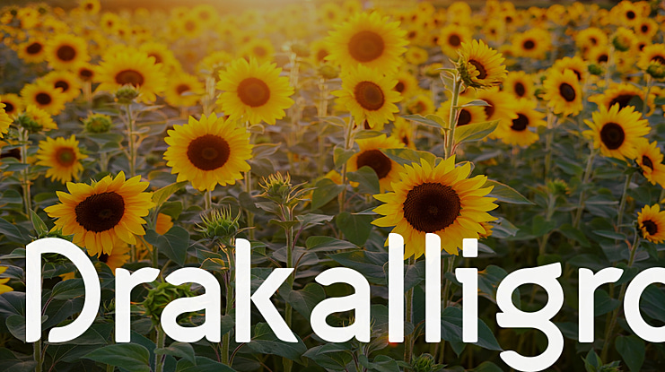 Drakalligro Font
