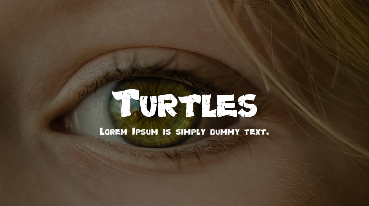 Turtles Font