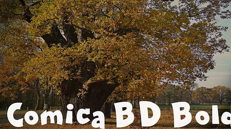 Comica BD Font Family