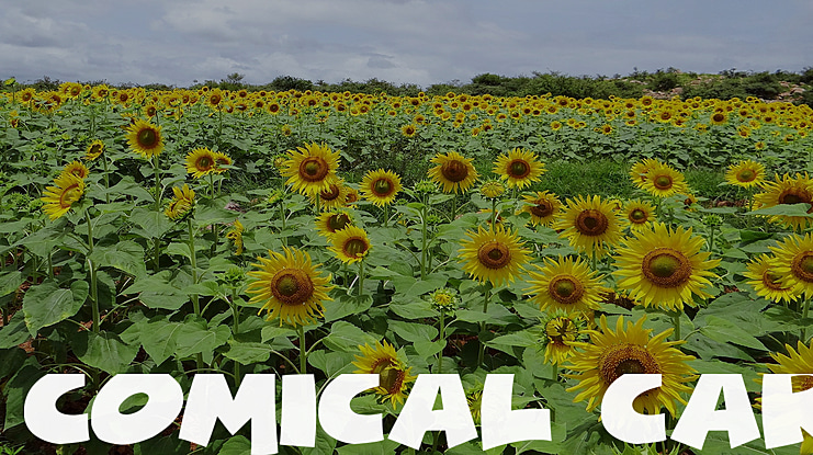 Comical Cartoon Font