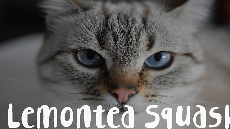 Lemontea Squash Font Family