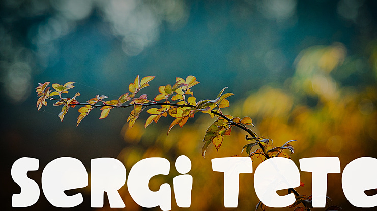 Sergi Tete Font