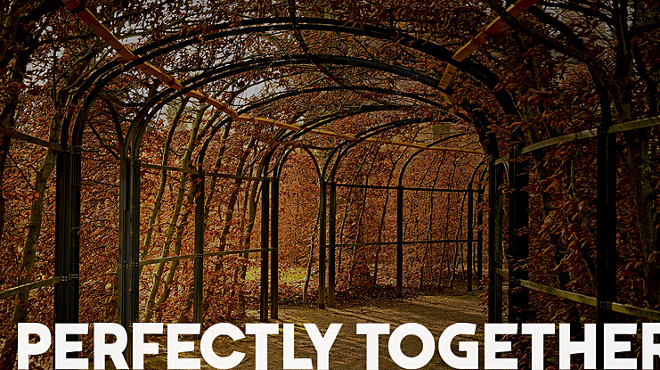 Perfectly Together Font