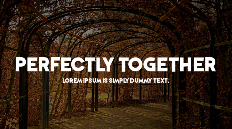 Perfectly Together Font