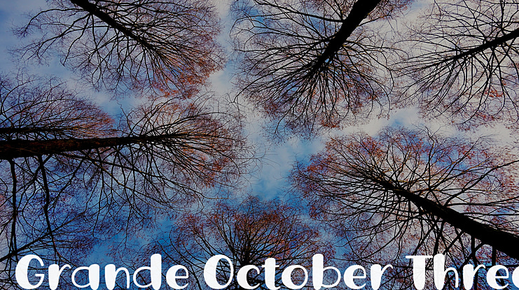 Grande October Three Font Family