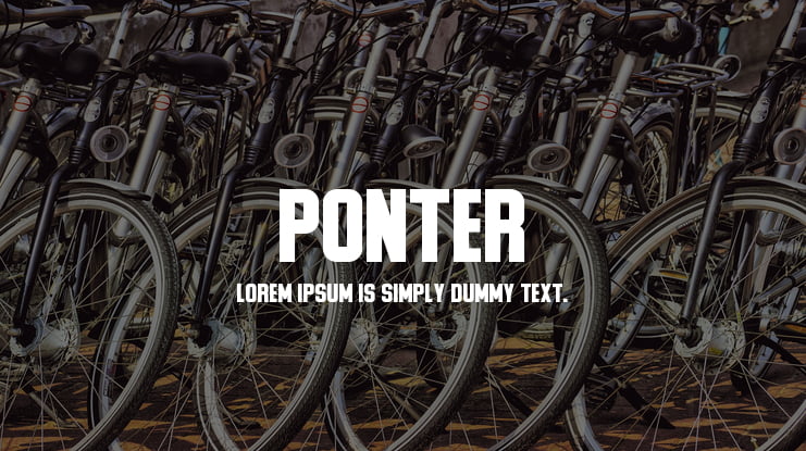 Ponter Font Family