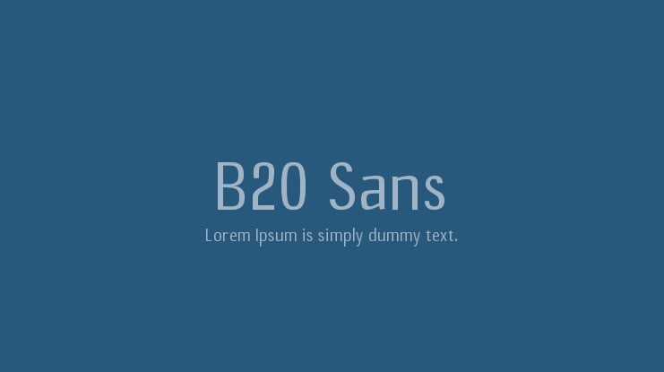 B20 Sans Font