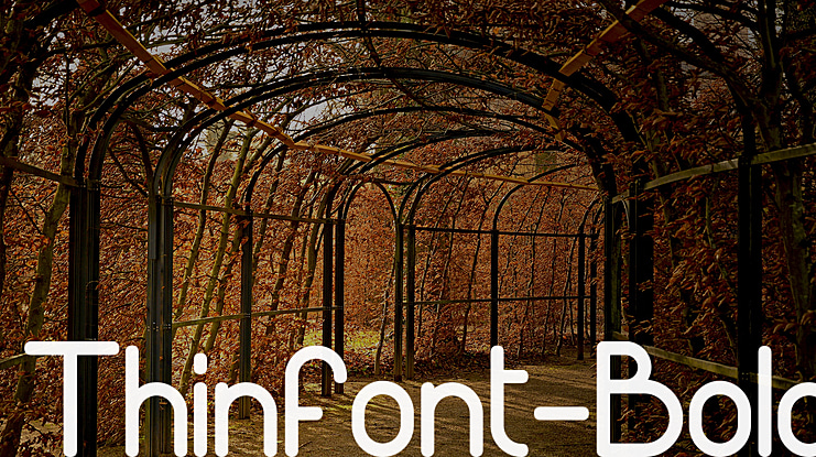 Thinfont- Font