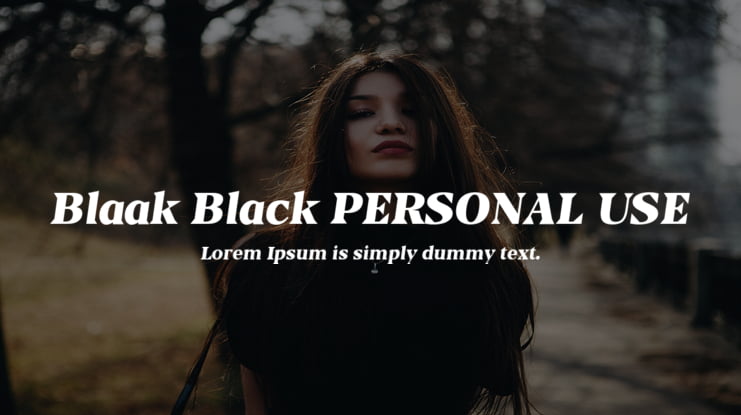 Blaak Black PERSONAL USE Font Family