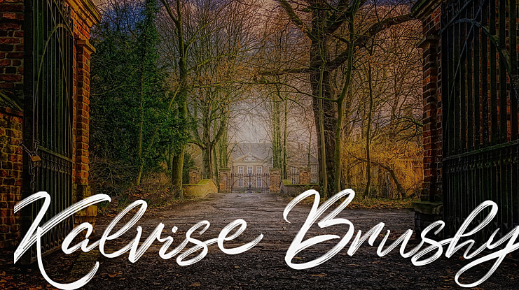 Kalvise Brushy Font