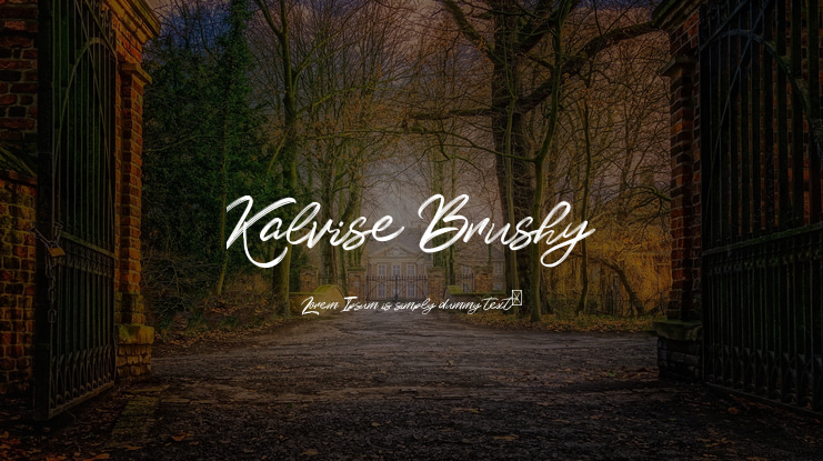 Kalvise Brushy Font