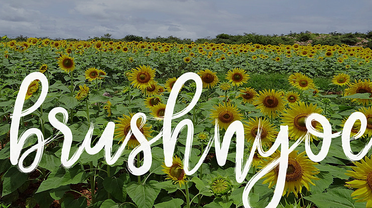 brushnyoe Font