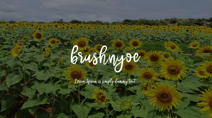 brushnyoe Font