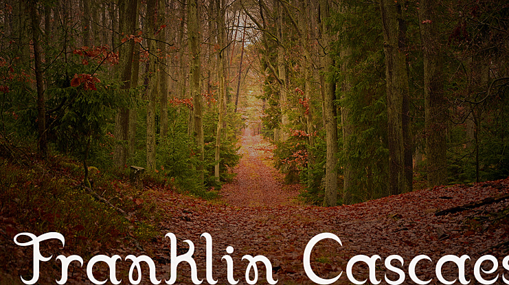 Franklin Cascaes Font