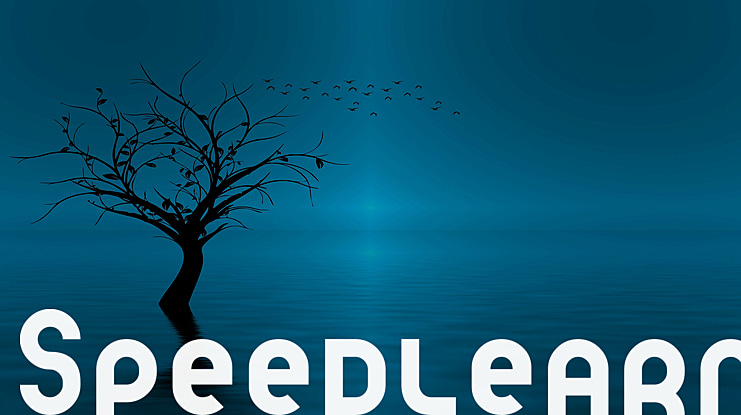 Speedlearn Font
