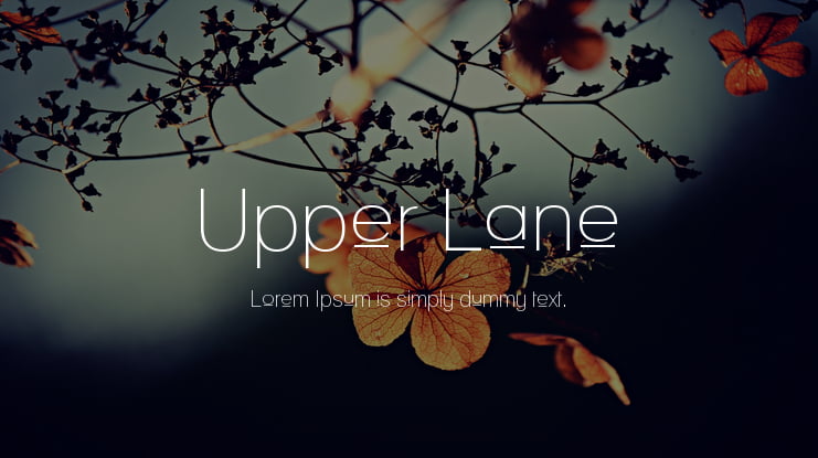 Upper Lane Font