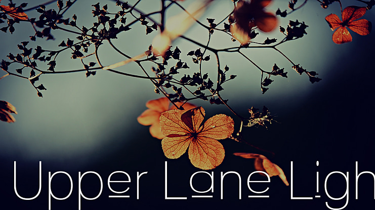 Upper Lane Font