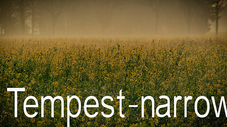 Tempest-narrow Font