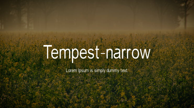 Tempest-narrow Font