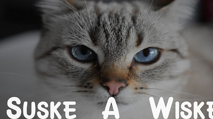 Suske & Wiske Font