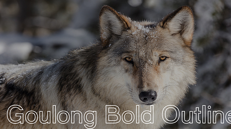 Goulong  Outline Font Family