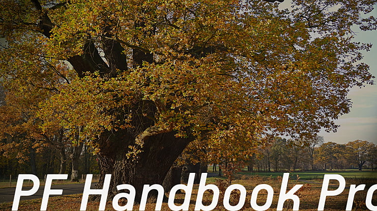 PF Handbook Pro Font Family