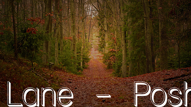 Lane - Posh Font