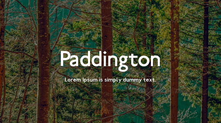 Paddington Font